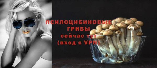 гидра Козловка