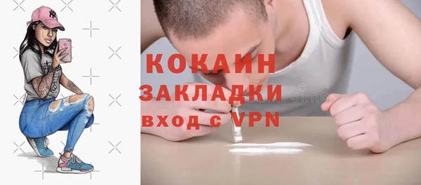 гидра Козловка