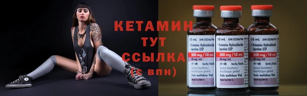 гидра Козловка