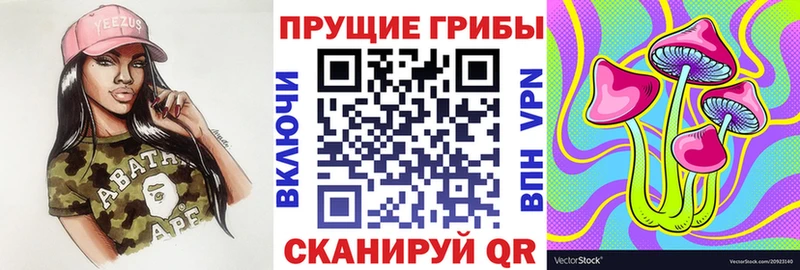 продажа наркотиков  Петропавловск-Камчатский  Псилоцибиновые грибы GOLDEN TEACHER 