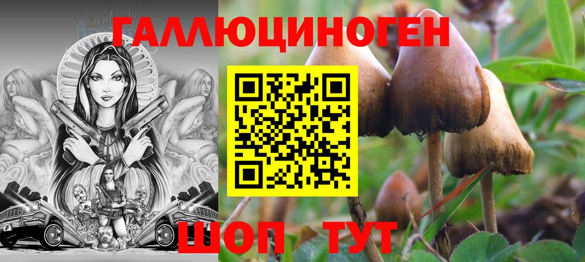 Псилоцибиновые грибы MAGIC MUSHROOMS Петропавловск-Камчатский