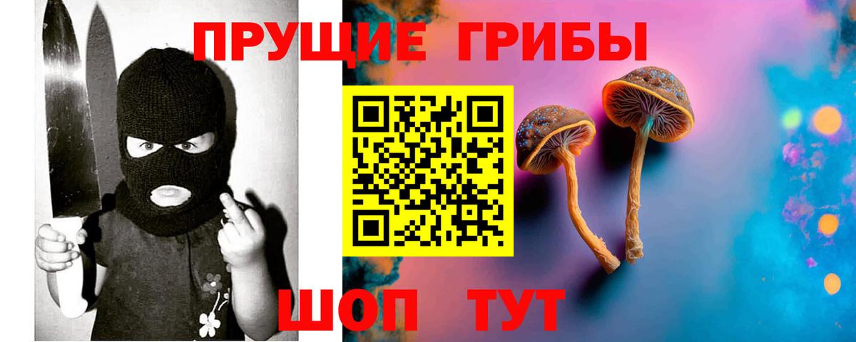Галлюциногенные грибы прущие грибы  Петропавловск-Камчатский  Псилоцибиновые грибы MAGIC MUSHROOMS 
